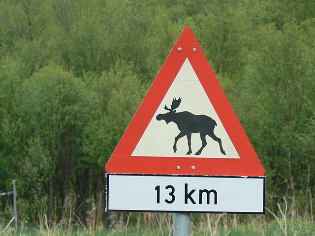 Datei:Elchschild.jpg