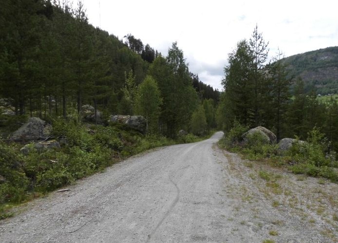 Datei:N4 - Torpo - Al.jpg