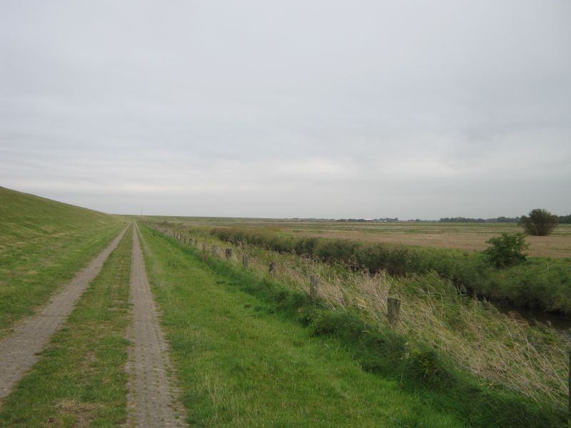 Datei:Radweg Tümlauer Koog.jpg