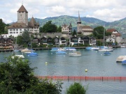 Städtli und Hafen von Spiez