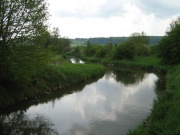 Auwald vor Graben