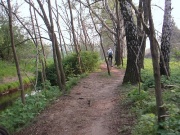 Auf dem Pankeradweg