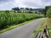Vor Höxter in den Bergen