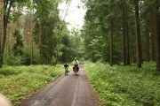 Gut befahrbarer Waldweg