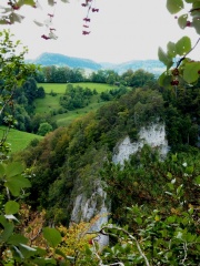 Aufstieg zum Nunnigerberg