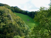 Abfahrt vom Nunnigerberg Richtung Neuhüsli