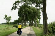 Landstraße hinter Pila