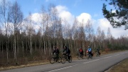 Landstraße zwischen Czarnów und Gronów