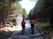 asphaltierter Waldweg Richtung Joachimsthal