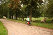 Allee mit Kopfsteinpflaster und Randstreifen