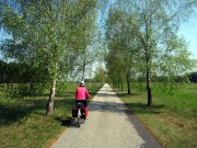 Hinter Friedland