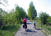 Radweg rund um den Senftenberger See