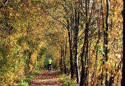 Radweg nach Belzig