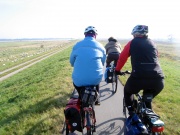 Auf dem Elbdeich