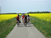 Radforumstour auf der Fläming-Skate-Strecke im Zuge der Tour Brandenburg kurz vor Niebendorf-Heinsdorf