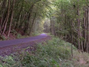 Vulkanradweg bei Hirzenhain