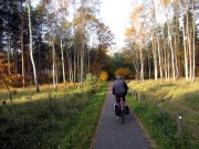 gut ausgebaute Radwege durch den Wald