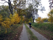 Allee von Stechow nach Kotzen
