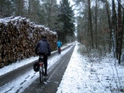auf hügeligem Waldweg zwischen Prädikow und Kähnsdorf