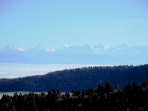 Das Alpenpanorama ist bei guter Fernsicht ständiger Begleiter auf dieser kurzen Stippvisiten-Tour in den Jura