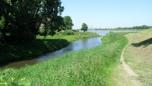 Erft Rhein Mündung.JPG