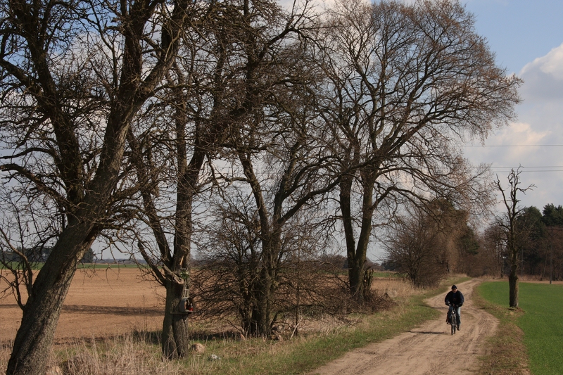 Datei:06-hinter Klosow.jpg
