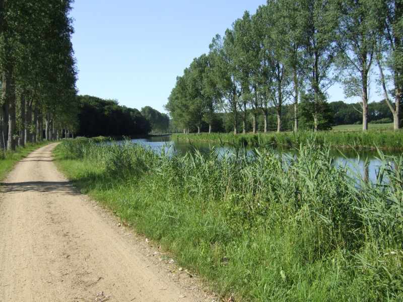 Datei:Alte Salzstraße bei Berkenthin.jpg