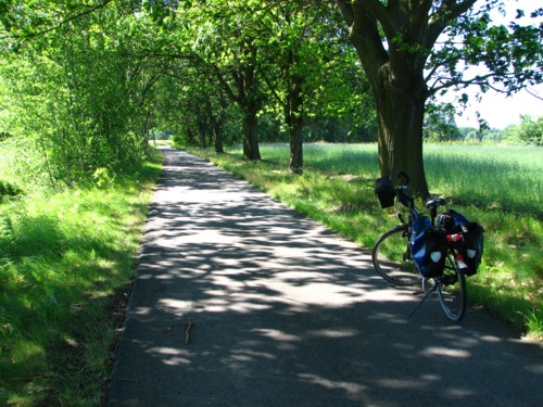 Fahrradstraße-Briesen.jpg