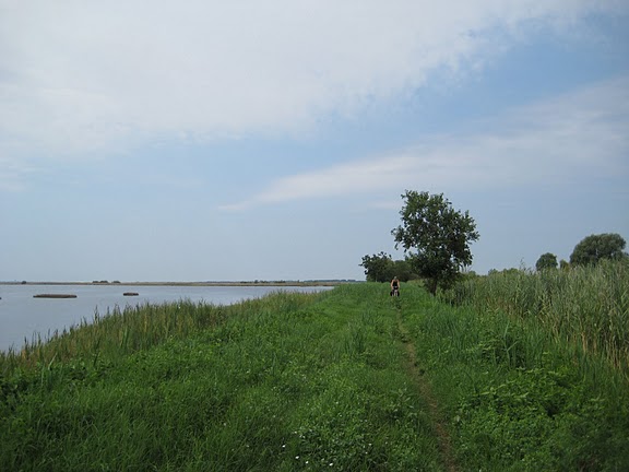 Datei:Radweg vor Caorle.jpg