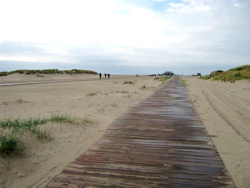 Datei:Strandradweg Ording.jpg
