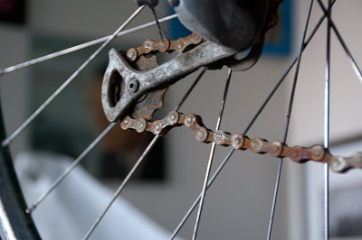 Datei:Winterschaden Kette.jpg