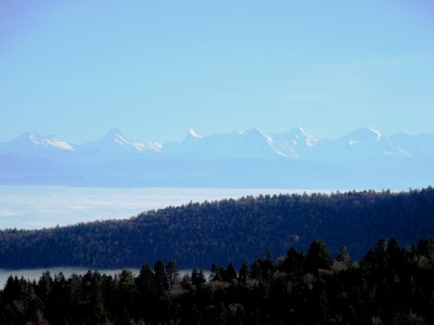 Alpenpanorama.JPG