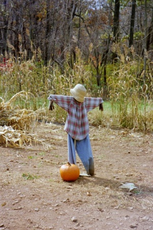 BRP11 Scarecrow.jpg