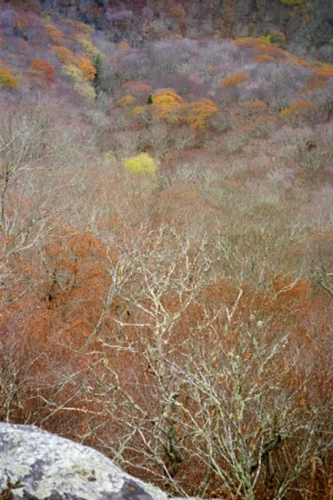 BRP2 Autumncolors.jpg