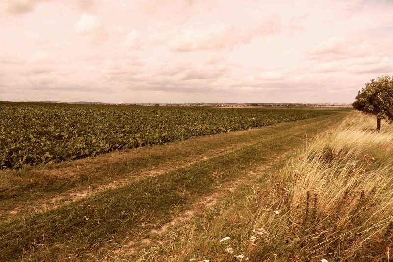 Datei:Boerde 20110002.JPG