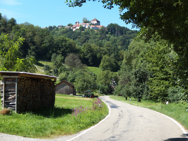Datei:Burg Maienfels.jpg