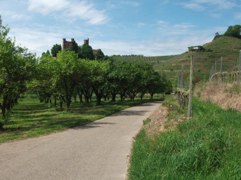 Datei:Burg Ortenberg.jpg