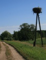 Fahrradweg zwischen Kolczyn und Gorzow Wielkopolski.jpg