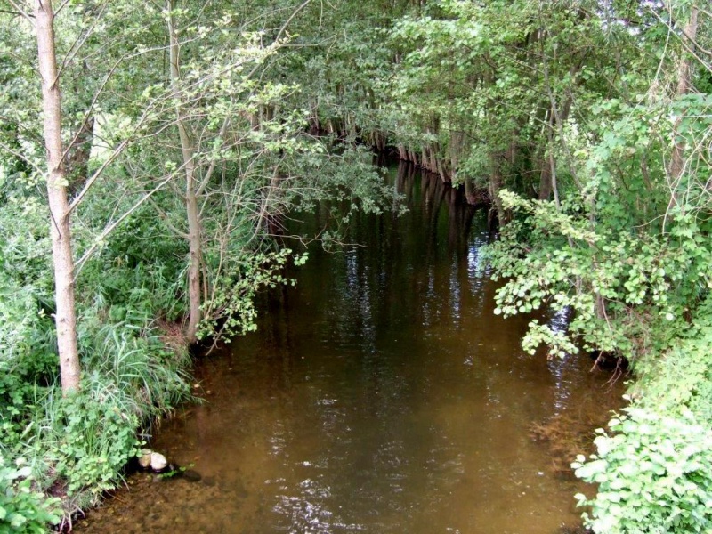 Datei:Havel bei Kratzeburg.JPG