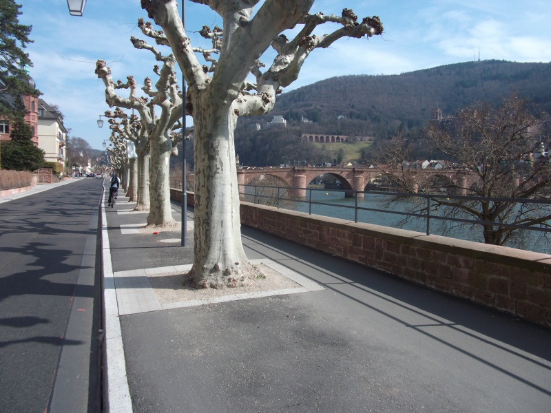 Datei:Heidelberg 007.jpg