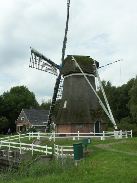 Datei:Holland-heide-am-lf9.jpg