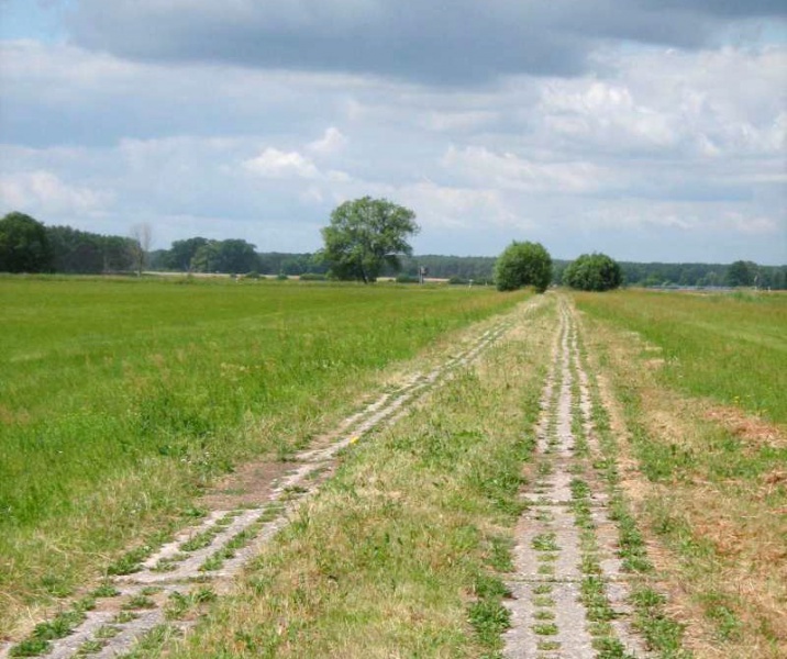 Datei:Kolonnenweg bei Bömenzien.jpg