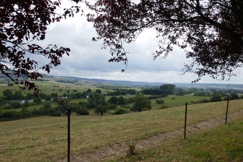 Datei:Maas-Bei Mouson.JPG