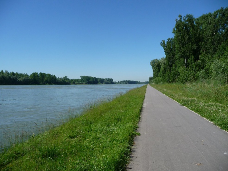 Datei:Rheinradweg bei Lauterbourg.JPG