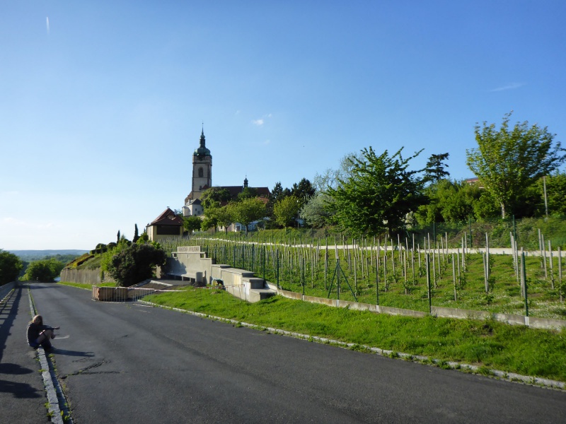 Datei:Schloss-Melnik.jpg