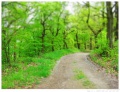 Weg bei Kaulsdorf.jpg