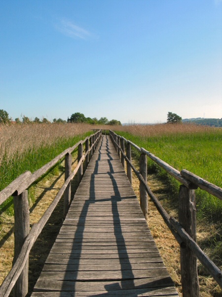 Datei:Werra heringen holzsteg.jpg